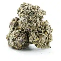 triceratops craft three nug