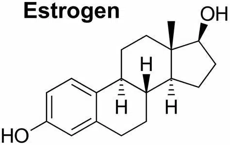 estrogen