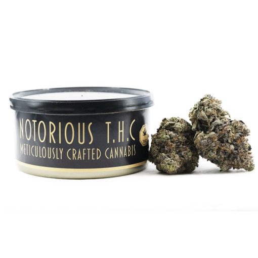 Notorious THC Craft - Acai Berry Gelato