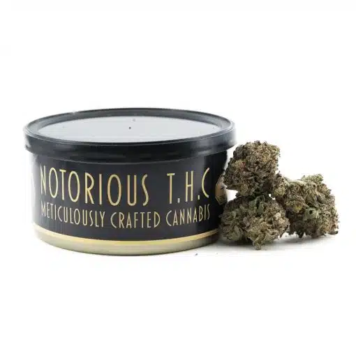 Notorious THC Craft - Black Grape Romulan (7 Grams)