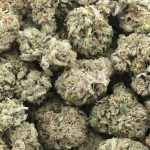 Wholesale - Cali Trainwreck - AAA