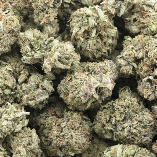 Wholesale - Cali Trainwreck - AAA