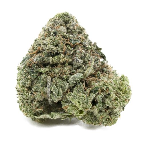 durban headband aaa nug
