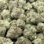 durban headband aaa wholesale