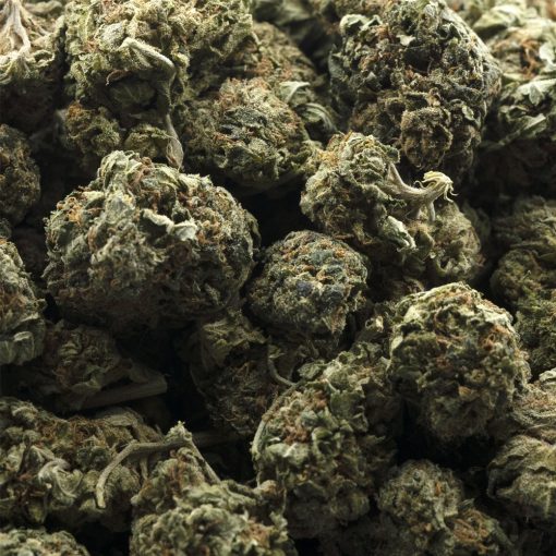Gorilla Glue Auto AA – Hybrid