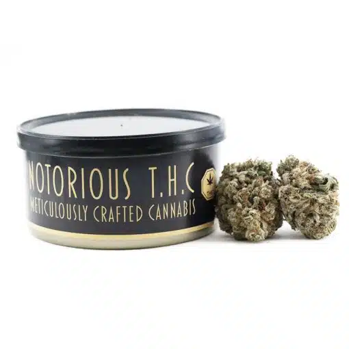 Notorious THC Craft - Jack the Ripper