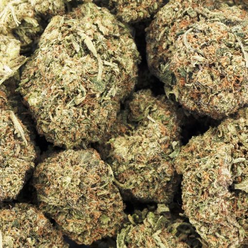 Wholesale - Afghan Kush Ryder - AA
