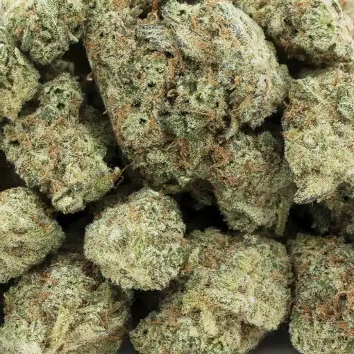 ak420 aaa wholesale