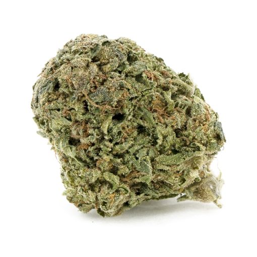 daily driver aa nug