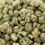 Wholesale - Daily Driver - AA