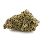 forum cookies aa nug