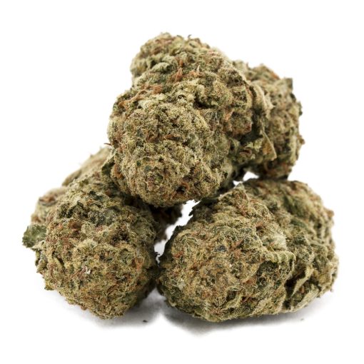 forum cookies aa 3nug