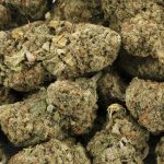 Wholesale - Forum Cookies - AA