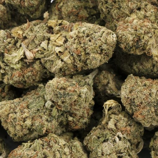 Wholesale - Forum Cookies - AA