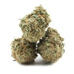 iceberg aa 3nug