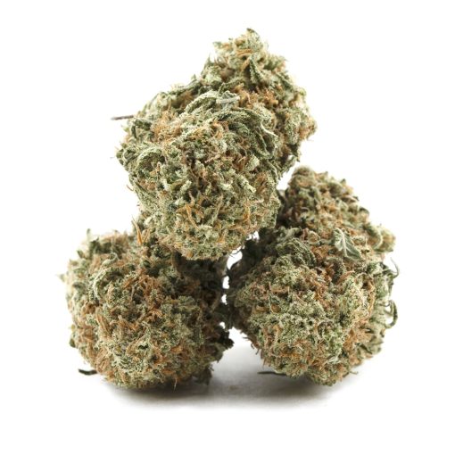 iceberg aa 3nug