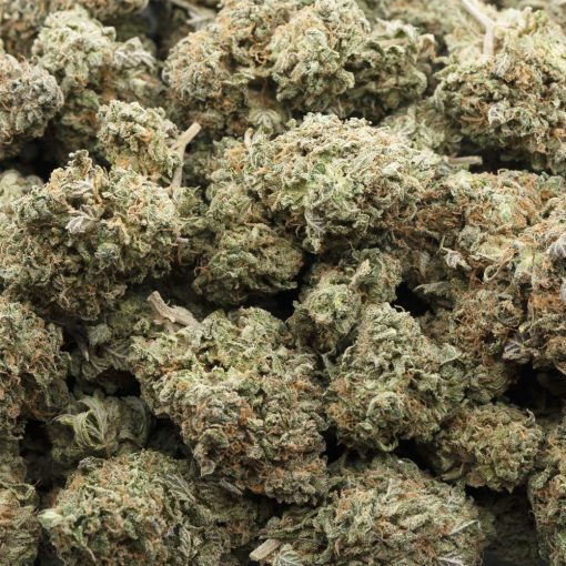 Wholesale - Kali Haze - AA