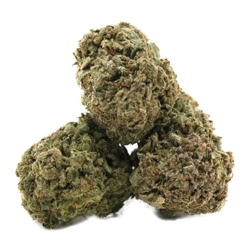 mango fruz a 3nug