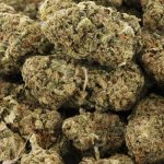 Wholesale - Payton's Pie - AA