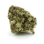 scout master aa nug