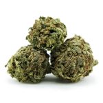 scout master aa three nug