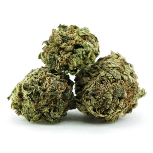 scout master aa three nug