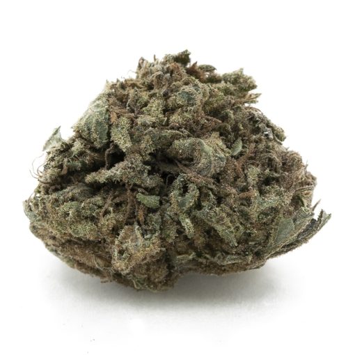Yumboldt '47 AA - Indica