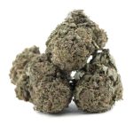 yumboldt'47-aa-3nug