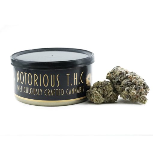 Notorious THC Craft - Razzleberry Kush (7 Grams)