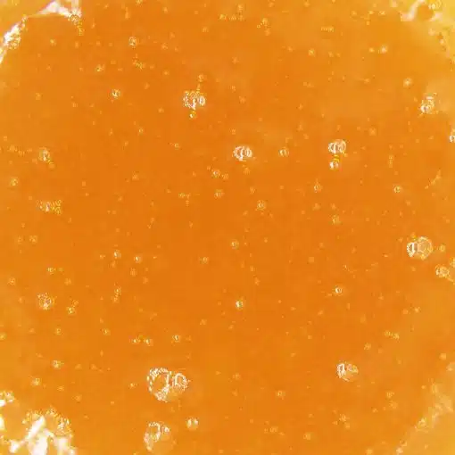 Caviar - Orange Julius - Sativa