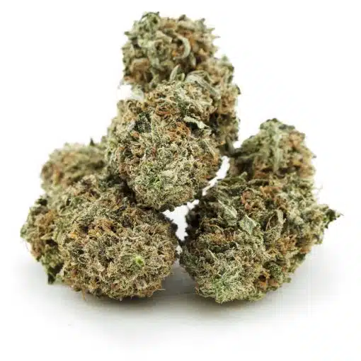 buy-weed-online-dispensary-west-coast-releaf-marijuanna-cannabis-blue-master-aa-three-nug.jpg