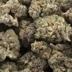 cali orange bud 3a wholesale