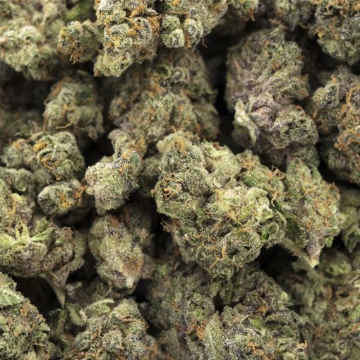 gmo cookies 3a wholesale