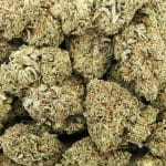 Wholesale - God's Breath - AAA