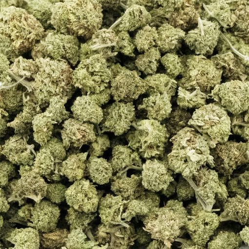 Pink Taco AA Popcorn - Indica