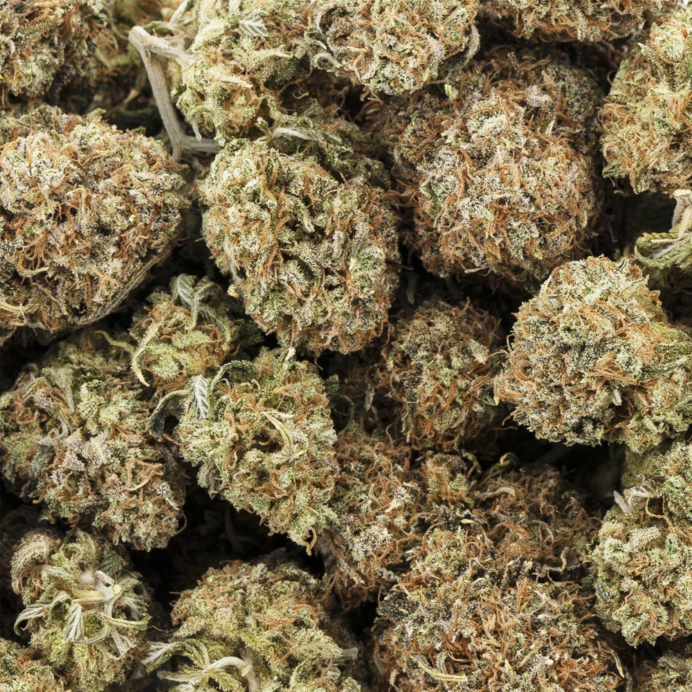 Rockstar AAA - Indica - West Coast Releaf Online Dispensary in Canada