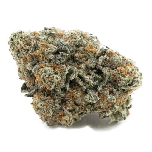 Sonoma Glue AAAA - Hybrid