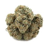 sonoma glue 4a 3nug