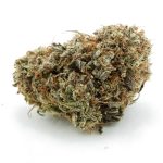 William’s Wonder AA – Indica