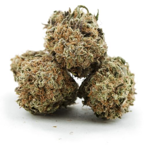 William’s Wonder AA – Indica