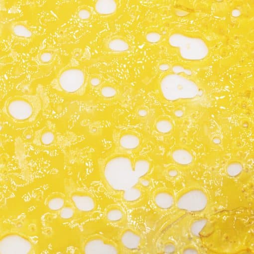 Shatter - Sherbet Cake - Indica
