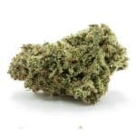 FPOG Craft – Indica