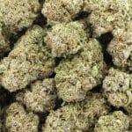 FPOG Craft – Indica