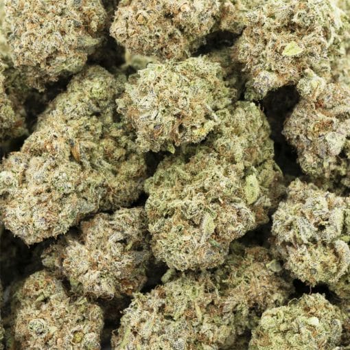 FPOG Craft – Indica