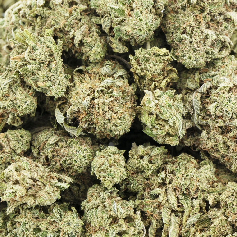 Wholesale - King Louie Xiii - Aa - West Coast Releaf Online Dispensary