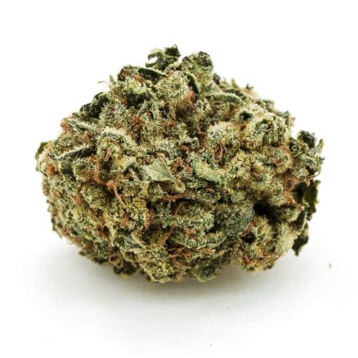 Romulan Blueberry A - Indica