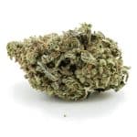Royal Dream AA - Sativa