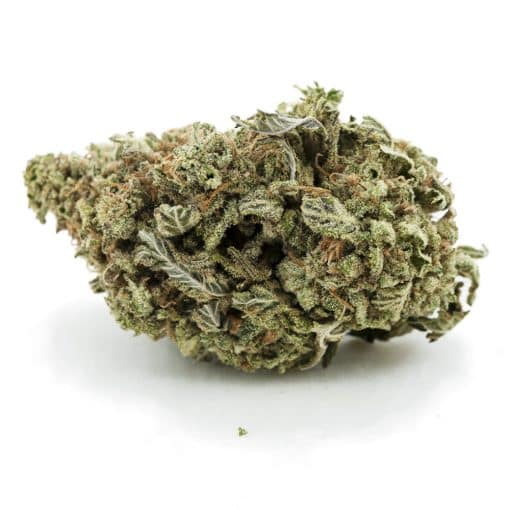 Royal Dream AA - Sativa