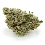 Sour Tangie AA - Sativa