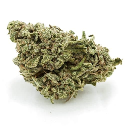 Sour Tangie AA - Sativa